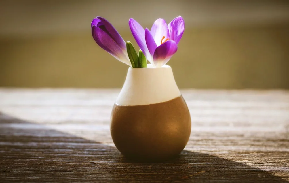 淘宝主图制作完整教程：尺寸、规范、技巧全攻略【2026最新】